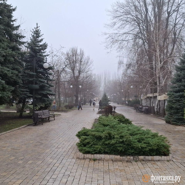 Источник: Ирина Багликова / FONTANKA.RU