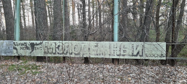 Остатки молодежного лагеря в лесу | Источник: Лилия Посохова / 2ГИС