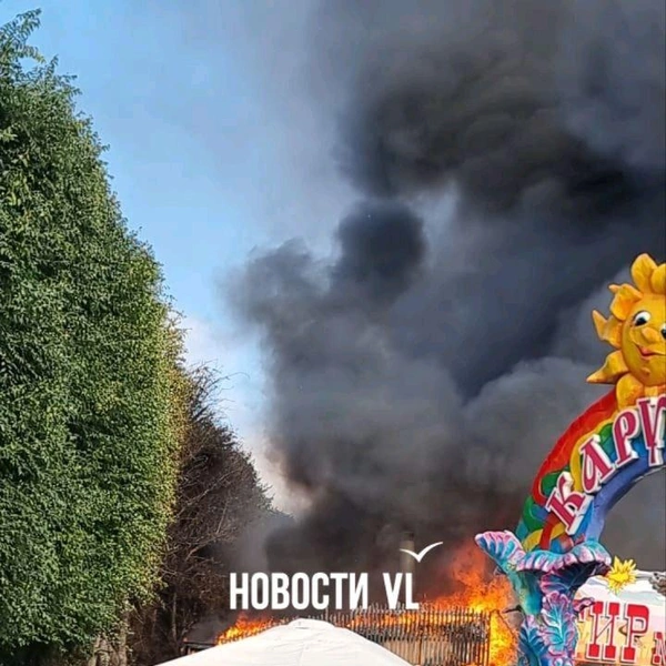 Источник: vl.ru