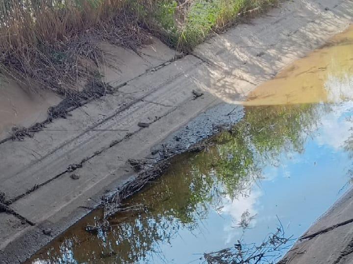 «Все овощи сгорят без полива»: под Волгоградом остался без воды гигантский оросительный канал