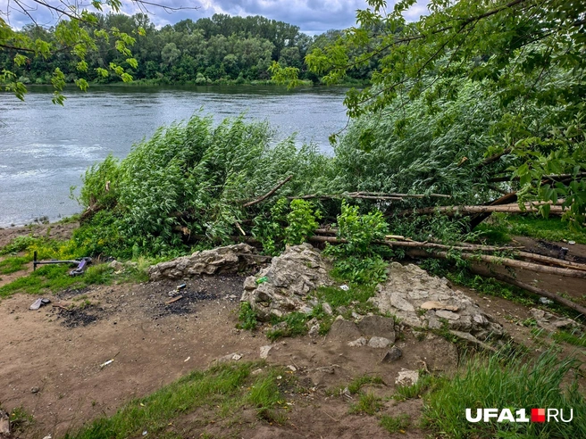 Упавшее дерево прямо на руинах | Источник: Булат Салихов / UFA1.RU