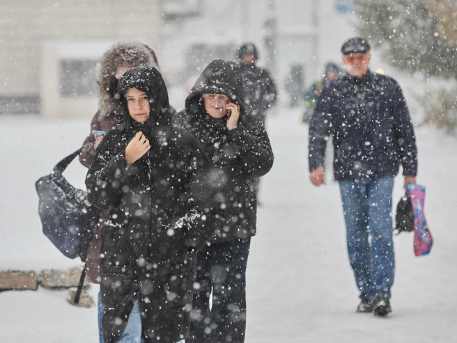 Снежный покров установился значительно раньше обычных сроков | nsk54.online
