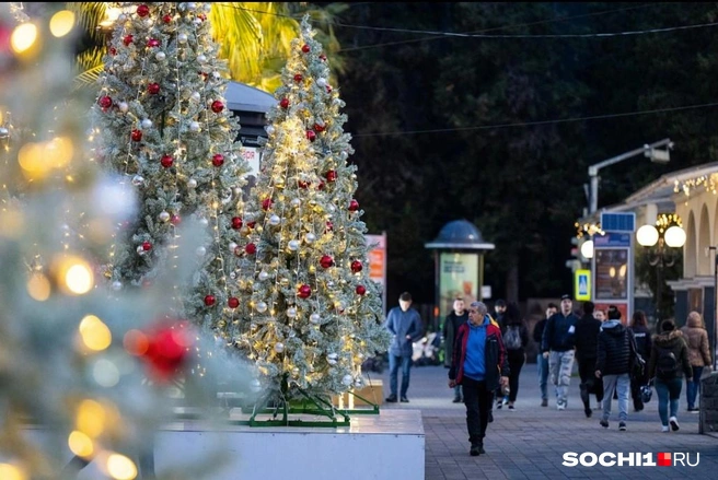 В море зимой не искупаться, но воздухом подышать можно | Источник: sochi1.ru