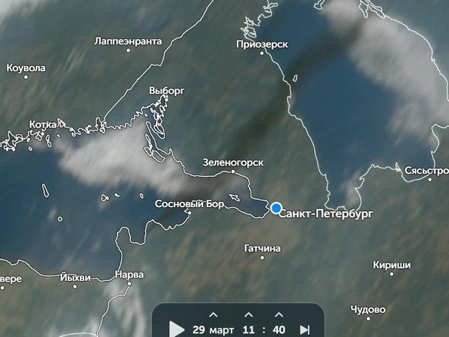 Дым из Ленобласти в Петербург попал на космические снимки | Источник: zoom.earth