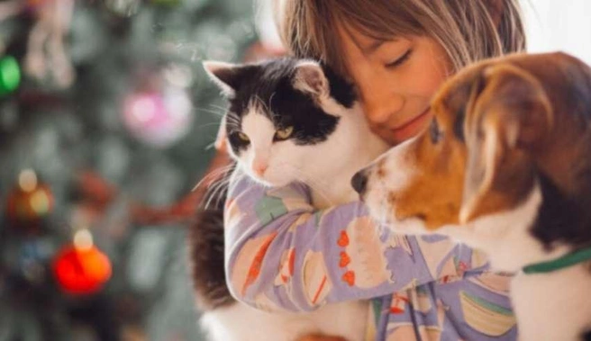 Микрочип — «паспорт» для питомца на всю жизнь | Источник: nk-tv.com