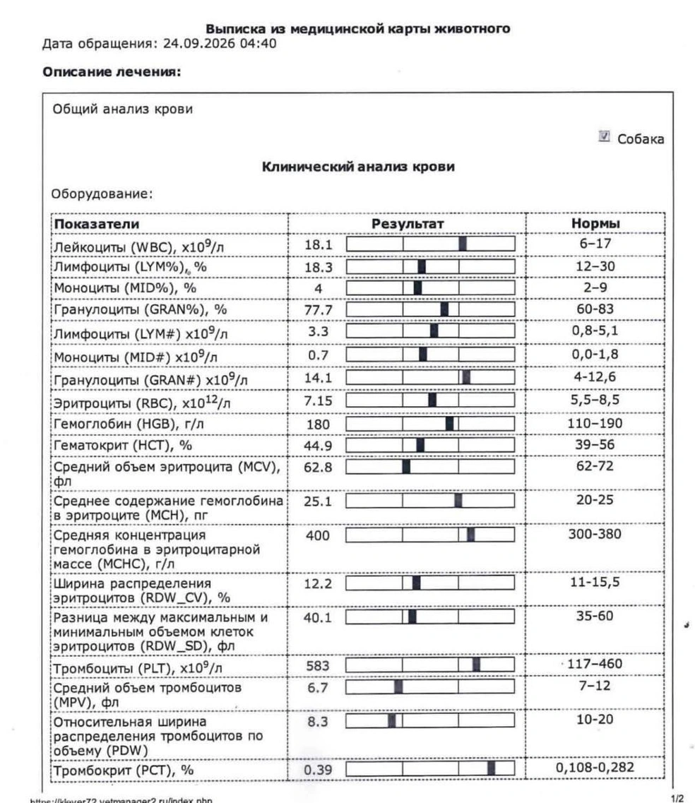 По данным ветеринарной клиники, собака к ним поступила в пятом часу утра. У Тайсона были отклонения от нормы по ряду показателей | Источник: предоставлено ветклиникой «Клевер»