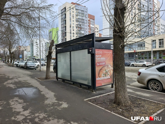 Должно стать лучше | Источник: Булат Салихов / UFA1.RU