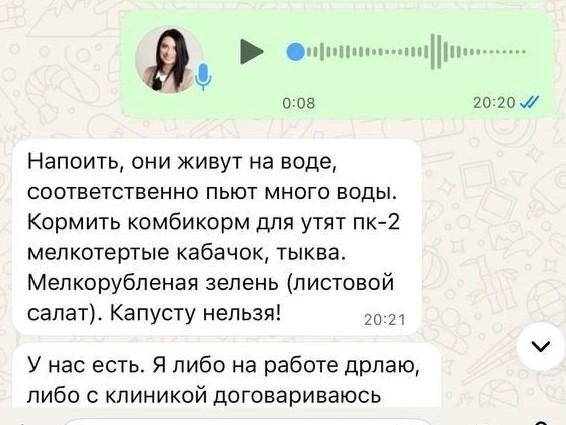 Специалист Лидия пишет инструкции по оказанию помощи | Источник: Людмила Заводская