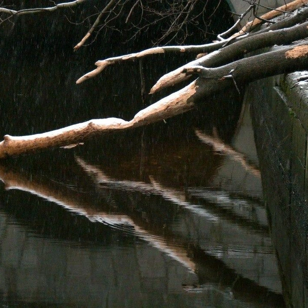 Источник: Павел Глазков / Каждой твари по паре