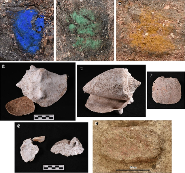 Пигменты и раковина улитки, найденные в одном из тайников майя | Источник: Science Advances