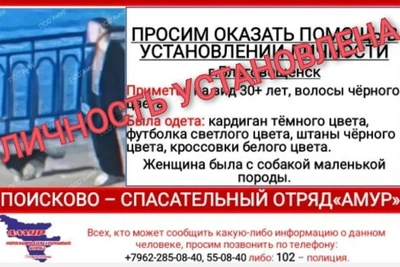 В Благовещенске продолжают поиски утонувшей в Амуре женщины
