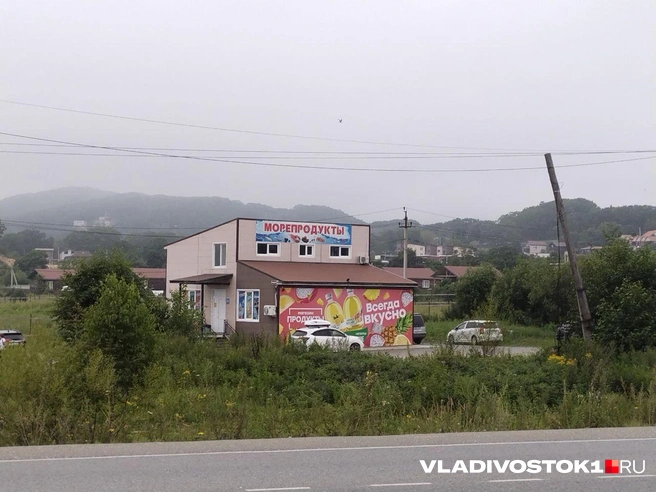Источник: Екатерина Дымова / VLADIVOSTOK1.RU 