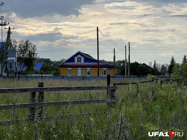 Побыть фермером писателю не удалось | Источник: Андрей Бирюков / UFA1.RU
