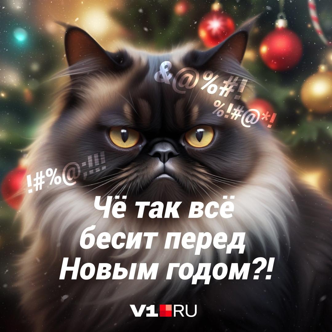 Космические цены на бензин, продукты, мерзкая погода и рабочая суббота: что бесит жителей Волгограда перед Новым годом?