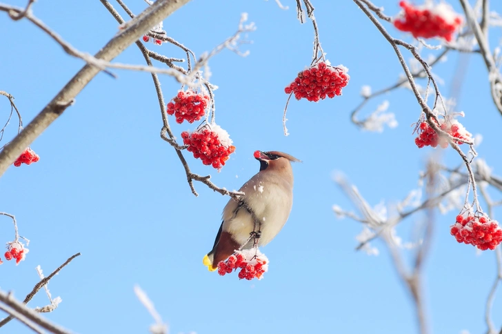Источник: Leonid Ikan via Shutterstock/Fotodom.ru