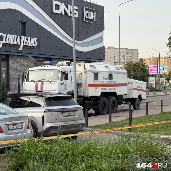 Источник: Сергей Петунин / 164.RU