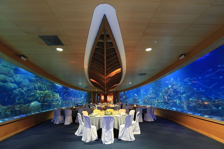 Полное погружение: топ-10 лучших подводных ресторанов (фото 20)