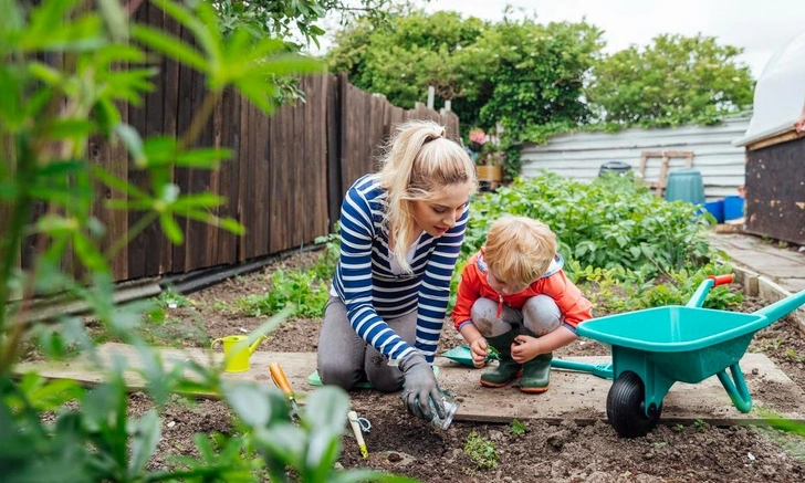 Дрожжи с сахаром, зола и еще 4 идеальные подкормки для чеснока в апреле | Источник: iStockphoto/SolStock