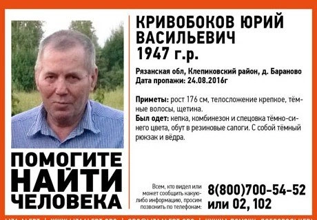 В Клепиках ищут мужчину, ушедшего в лес за ягодами | ya62.ru
