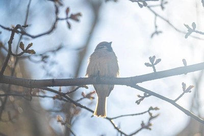 Прогноз погоды в Якутске на майские