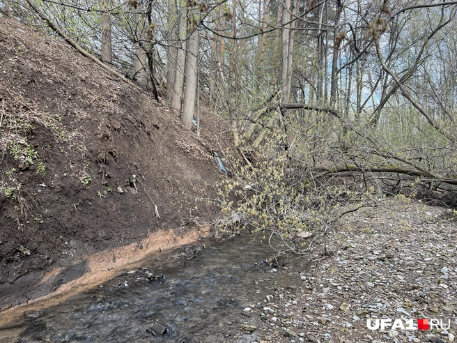 Неприятненько, конечно, но мы переживем | Источник: Андрей Бирюков / UFA1.RU