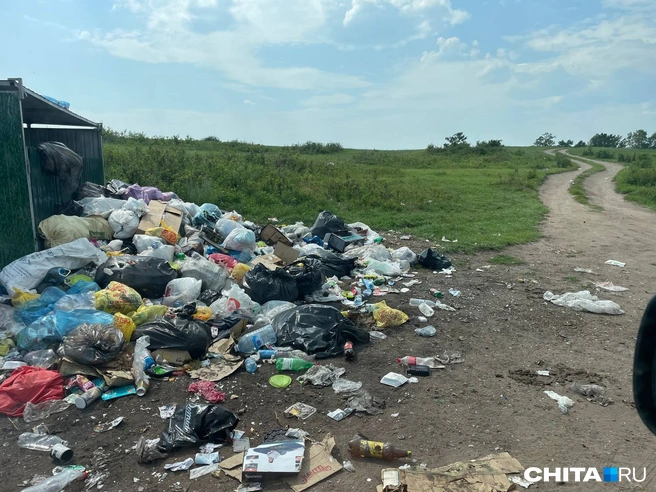 Мусор вне контейнера в спецтехнику не грузят | Источник: очевидец