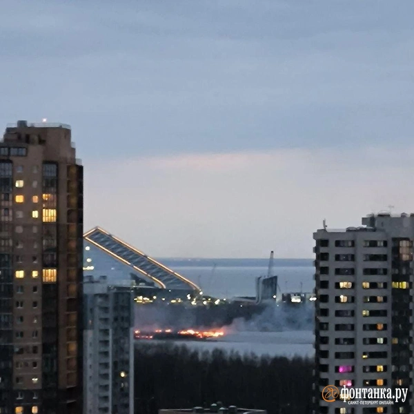 Источник: читатель «Фонтанки»