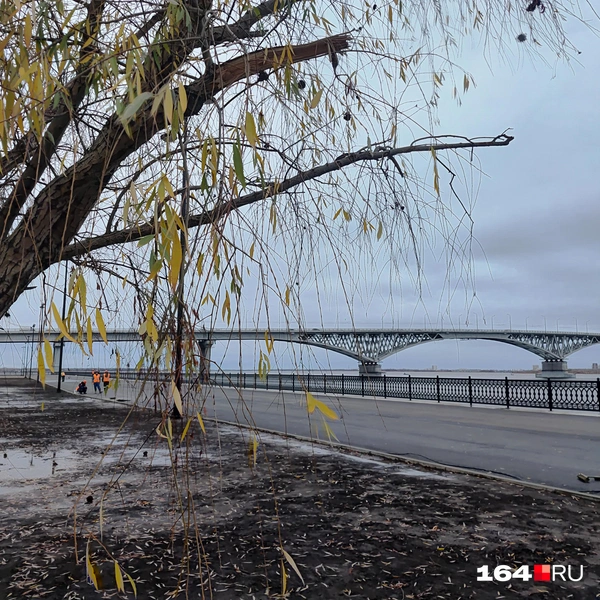 Источник: Сергей Гендин / 164.RU