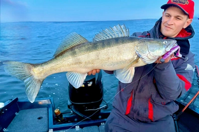 Трофейный судак весом 6 кг пойман рыбаком из Волгограда