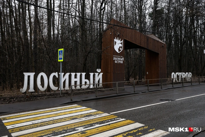 Правительство взяло под защиту московский кусок «Лосиного острова» | Источник: Артем Устюжанин / MSK1.RU