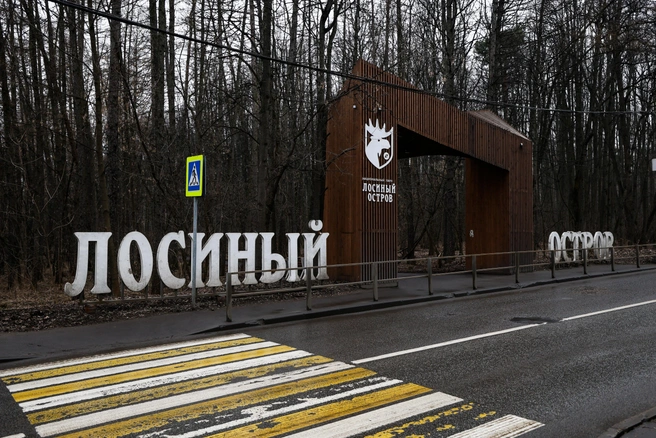 В Подмосковье потратят 700 млн рублей на «реконструкцию» дороги у Лосиного острова | Источник: Артём Устюжанин / MSK1.RU