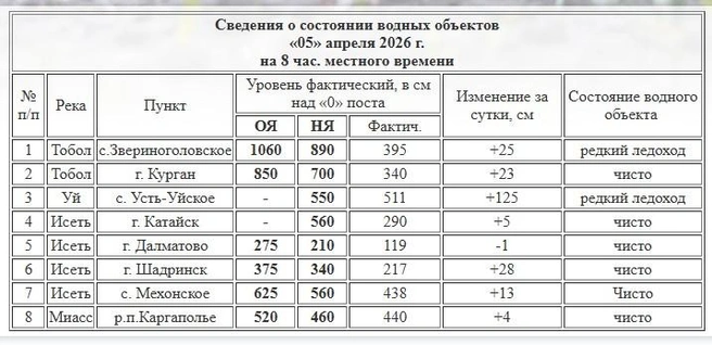 Источник: скрин с сайта Курганского ЦГМС