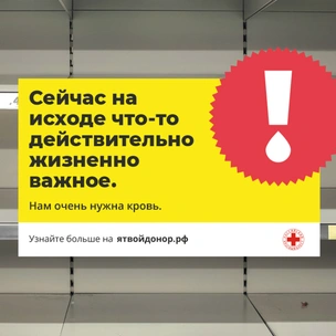 Жизненная необходимость: как помочь в День донора