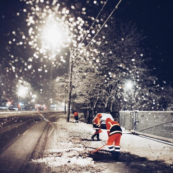 Источник: Комитет по благоустройству Петербурга