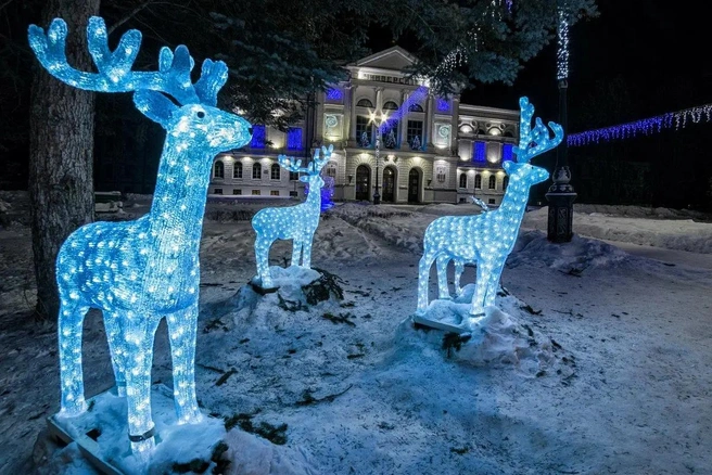 Сказочная атмосфера зимнего Томска | Источник: Максим Бородин