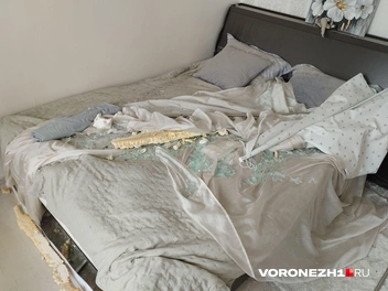 Источник: Дмитрий Волгин / Voronezh1.ru