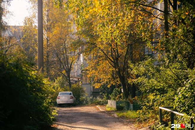 Источник: Иван Митюшёв / 29.RU