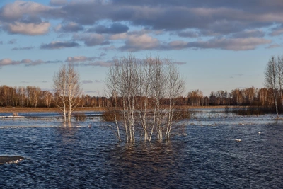 Паводок в Кузбассе: сводка 28 апреля