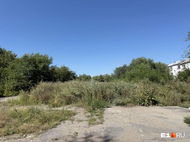 Теперь на этом месте заросли | Источник: Анастасия Баранова / E1.RU