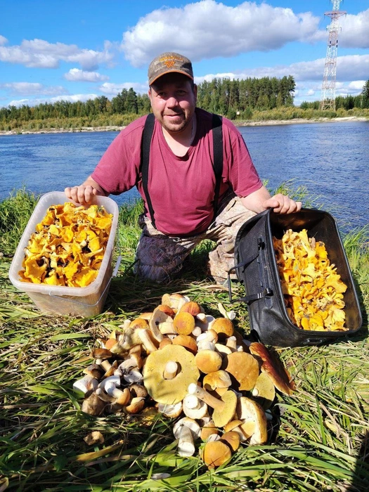 Ради такого лесного урожая Василию пришлось постараться, но это того стоило | Источник: Грибной воин ХМАО / T.me