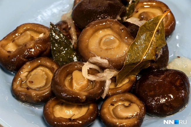 соленые грибы рецепты приготовления горячим способом на зиму | Дзен