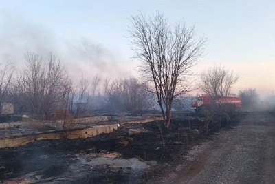 На Алтае зафиксированы многочисленные ландшафтные пожары
