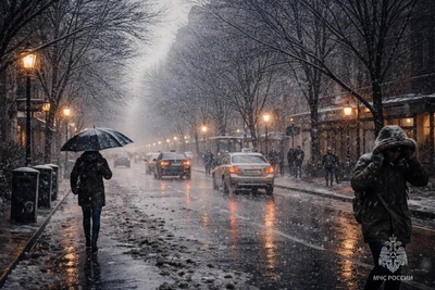 В Приамурье ожидаются осадки