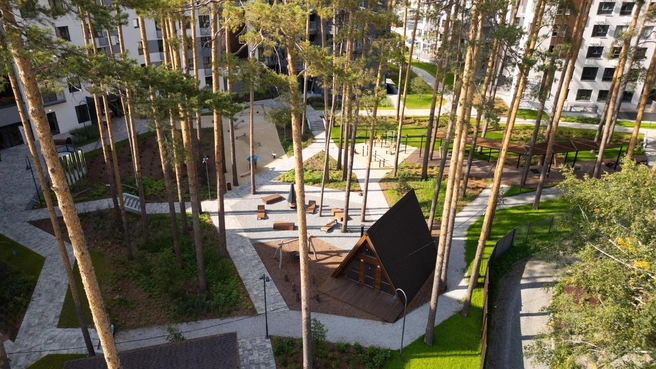 В Екатеринубрге дома аккуратно вписали в сосновый бор, поэтому теперь у каждого жителя есть свой кусочек уральского леса  | Источник: «Железно»