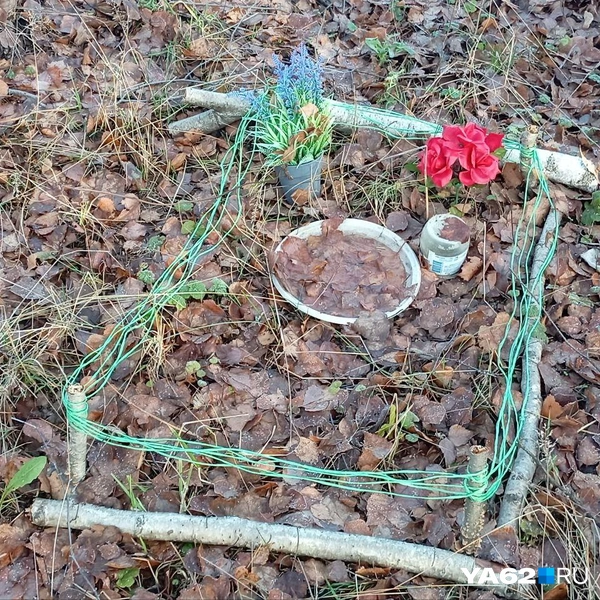 Источник: Анастасия Фокина / YA62.RU