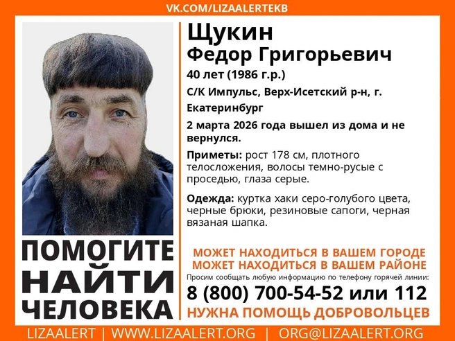 Источник: «ЛизаАлерт» Свердловской области