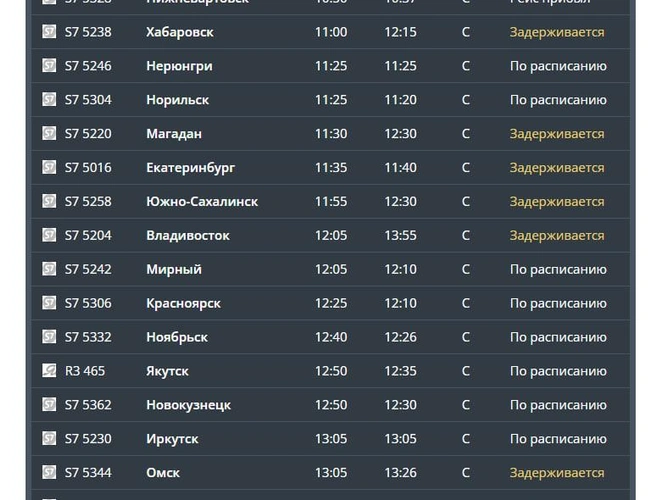 Существенных задержек нет, уточнили в пресс-службе аэропорта | Источник: tolmachevo.ru