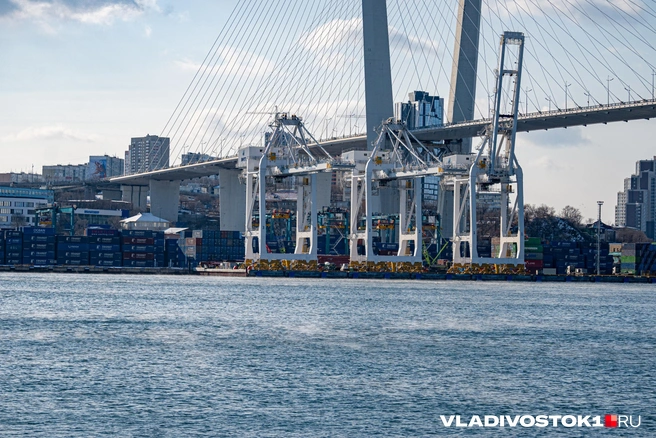 Источник: Елена Буйвол / VLADIVOSTOK1.RU