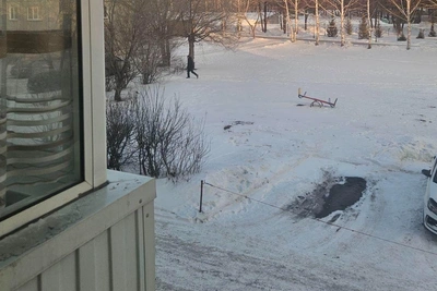 Двойное убийство в Кузбассе перед Новым годом: нападавший задержан