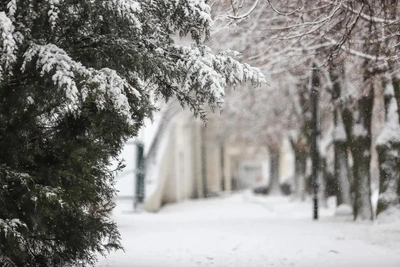 Blizzards and Snowdrifts: Weather Forecast for Rostov and Region
